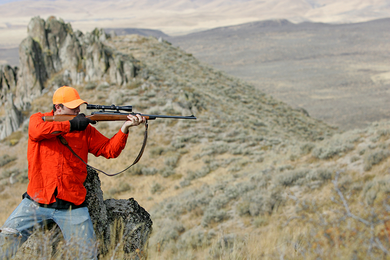 红单捕手的个人主页
