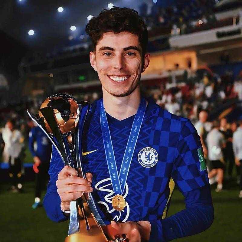 稳胆推荐官的个人主页