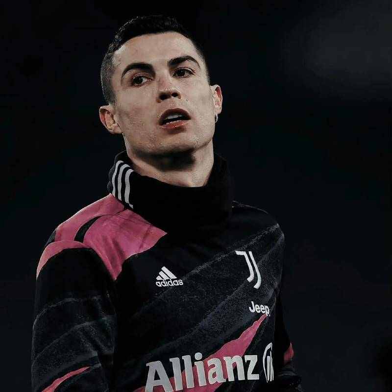 篮火纯青的个人主页