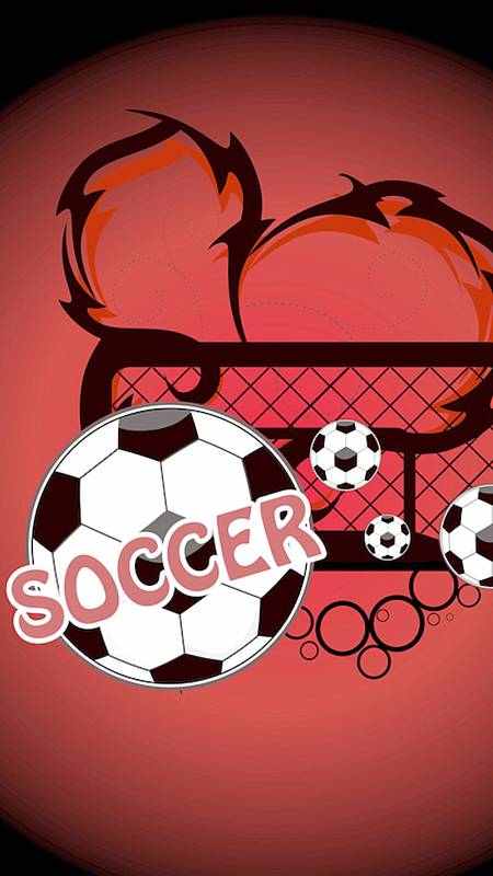 论红足球的个人主页