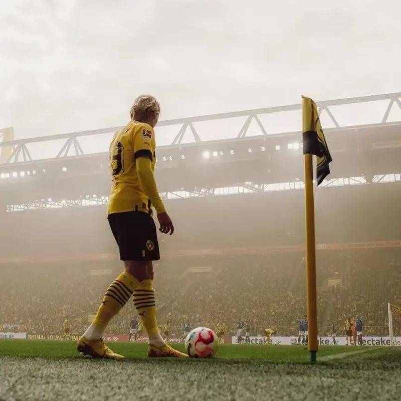 双球智囊团的个人主页