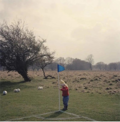 球場聲吶的个人主页