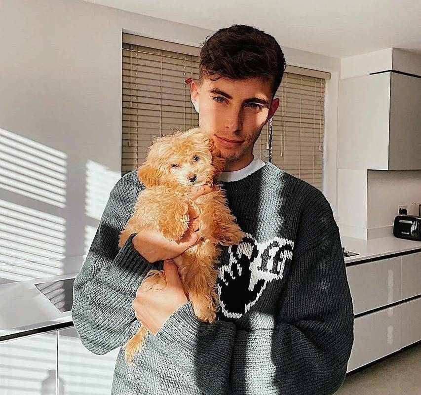 赛事运算师的个人主页