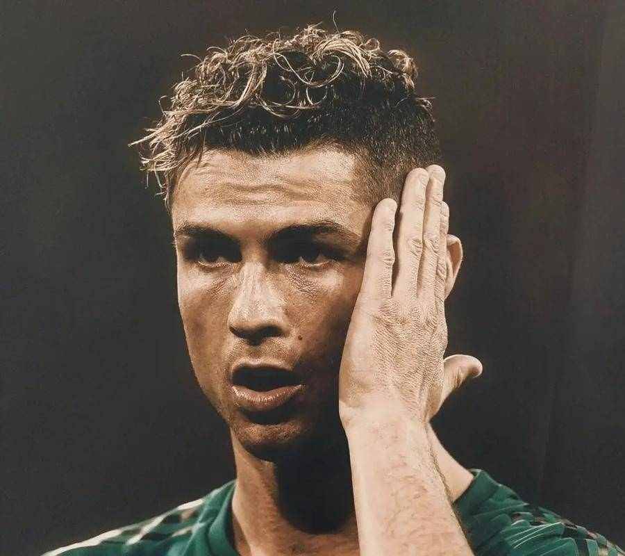 绿茵分析猿的个人主页