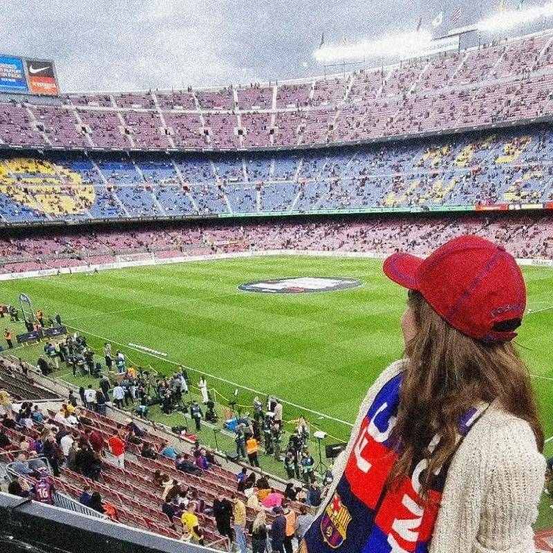 小球大智慧的个人主页