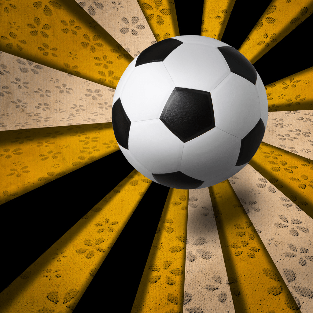 足球通的个人主页